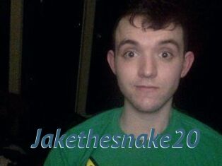 Jakethesnake20