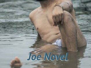 Joe_Novel