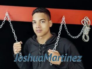 JoshuaMartinez