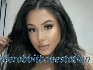 Jaderabbitbabestation