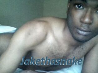 Jake_tha_snake