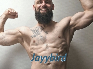 Jayybird