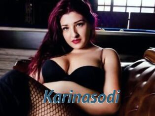 Karinasodi