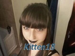 Kitten18