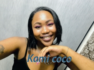 Kami_coco