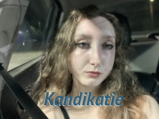 Kandikatie