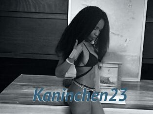 Kaninchen23