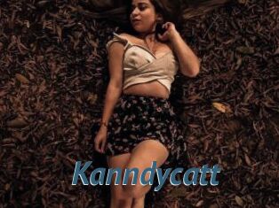 Kanndycatt