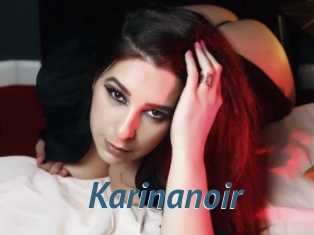 Karinanoir