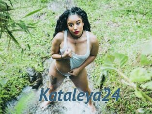 Kataleya24