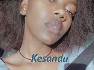 Kesandu