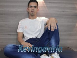 Kevingaviria