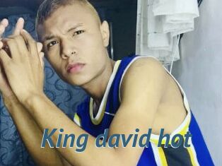 King_david_hot