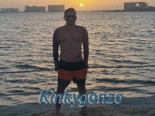 Kinkygonzo