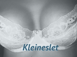 Kleineslet