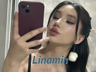 Linamin