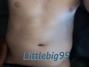 Littlebig99