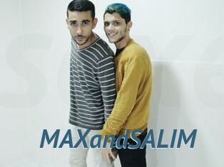 MAXandSALIM