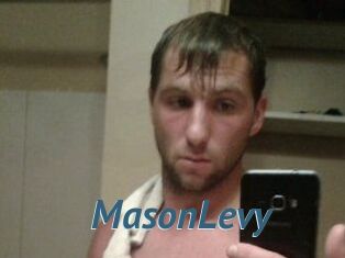 Mason_Levy