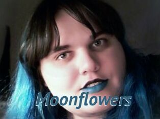 Moonflowers