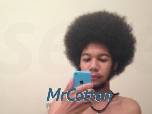 MrCotton