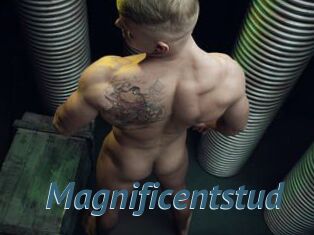 Magnificentstud