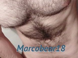 Marcobear18