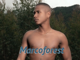 Marcoforest