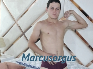 Marcusorgus