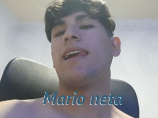 Mario_neta