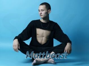 Mattbeast