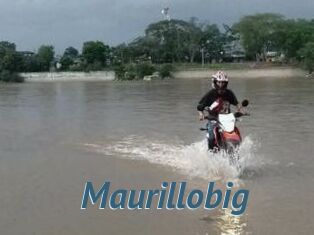 Maurillobig