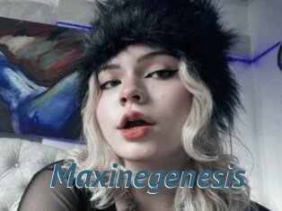 Maxinegenesis