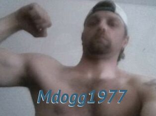 Mdogg1977