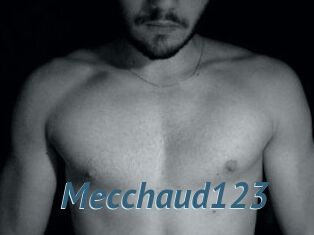 Mecchaud123