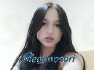 Meganosori