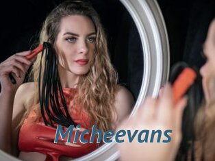 Micheevans