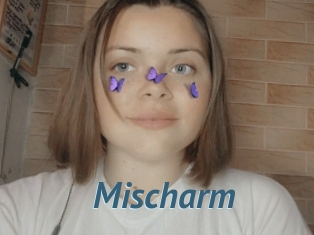 Mischarm