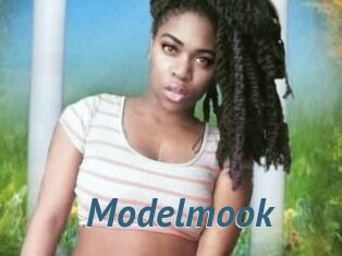 Modelmook