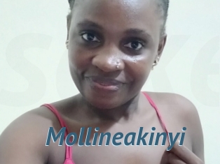 Mollineakinyi