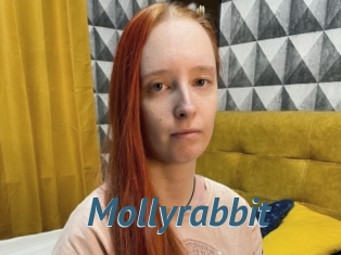 Mollyrabbit