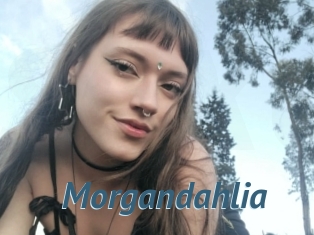 Morgandahlia