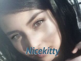 Nicekitty