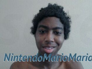 NintendoMarioMario