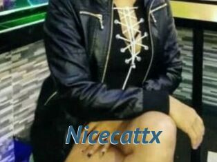 Nicecattx