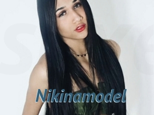 Nikinamodel