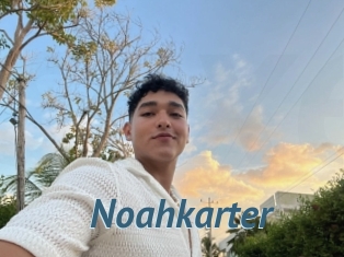 Noahkarter