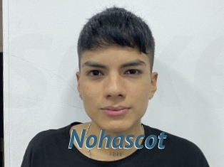 Nohascot