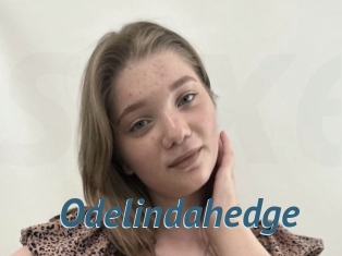 Odelindahedge