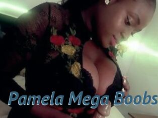 Pamela_Mega_Boobs